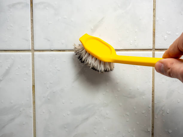 Best Kitchen Mold Remediation in Geneva, IL