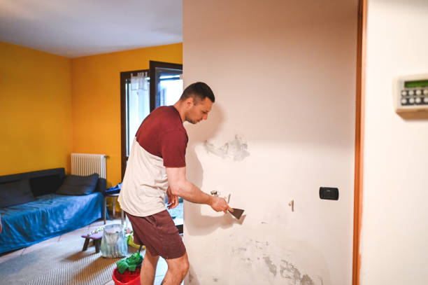 Trusted Geneva, IL Mold Remediation Experts
